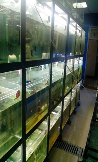 QQ图片20141013204827.jpg